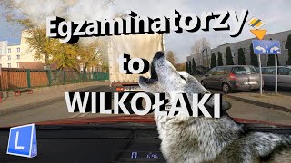 Egzaminatorzy to Wilkołaki [upl. by Gombach655]