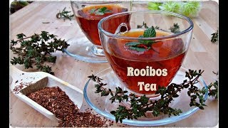 How to Make Rooibos Tea With Fresh Mint Leaves  Episode 99 [upl. by Thin]