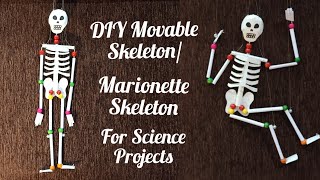 How to make movable Skeleton Model DIY Marionette SkeletonEasy way to make Skeleton Model at Home [upl. by Ytima]