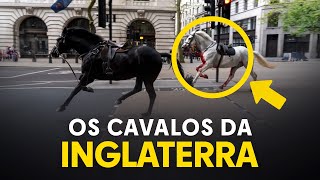 OS CAVALOS PRETO E BRANCO DO REINADO DA INGLATERRA  Cavalos do Apocalipse [upl. by Krysta]