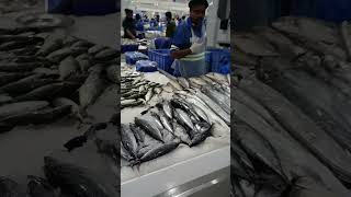 S4Water front fish market Dubai travel fishmarket dubaitrip2024 dubai hightechfishmarket [upl. by Somerset174]