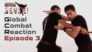 Ninjutsu self defense  Ep 3  Stick and front kick [upl. by Nayra592]