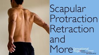 Exercises for Improving Scapular Protraction Retraction and More [upl. by Ecaroh]