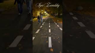 Romantic Autumn Park zavadsky accordion autumn romanticsong evening bicycle autumnmusic [upl. by Duntson134]