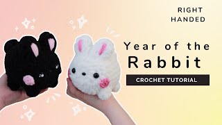 Beginner Tutorial How to crochet the year of the rabbit Right Handed [upl. by Ahsieket18]