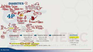 ENDOCRINOLOGÍA  DIABETES [upl. by Ianej]