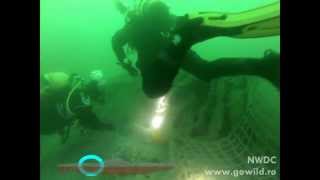 Romania Wreck Diving  Submarin ShCh 213 HD [upl. by Drannel]