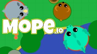 Mopeio  The Mighty Bear  Mopeio Gameplay  Brand New Mope io Game Update [upl. by Suiddaht]