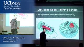 Introduction to Chemical Biology 128 Lecture 05 NonCovalent Interactions DNA [upl. by Leval784]