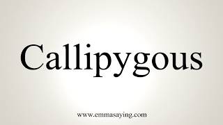 How To Pronounce Callipygous [upl. by Arondel]