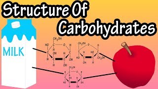 Structure Of Carbohydrates  What Are Carbohydrates Made Of Structure Of Glucose Fructose Galactose [upl. by Ver429]