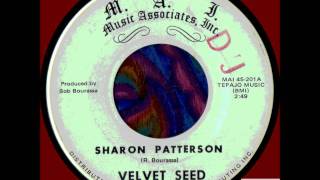 VELVET SEED  SHARON PATTERSON MAI 1968 [upl. by Asylla]