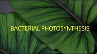 BACTERIAL PHOTOSYNTHESIS II PHOTOSYNTHETIC PIGMENTS [upl. by Shandee]