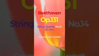 Beethoven Op131 String Quartet No14 5th MovGewandhaus [upl. by Norrabal]