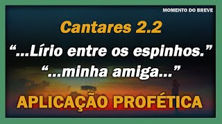 Cantares de Salomão 22  “Qual o lírio entreos espinhos…”  “…minha amiga entre as filhas” [upl. by Orsola]