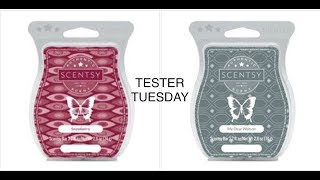 TESTER TUESDAY 2  Snowberry amp My Dear Watson SCENTSY [upl. by Nanreit473]