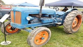 1954 Fordson Major E1A Petrol Tractor in Palmerston [upl. by Ayikin150]