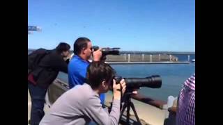 Plane Spotters Port Of Botany Bay Sydney [upl. by Lanny752]