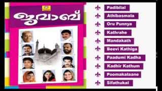 വെള്ളിനിലാപോൽ സുന്ദരനോVellinilapol SundaranoNoorul HudaAbdullah FadilNew Malayalam Islamic Song [upl. by Heimer584]