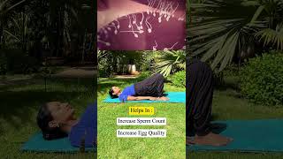 Fertility Yoga For Trying To Conceive In 2025 Fertility Exercises  Yoga Get Pregnant  trimukyoga [upl. by Mattheus851]