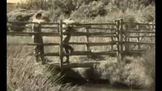 Video Butteri dAlta Maremma parte 1wmv [upl. by O'Kelly620]