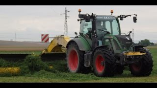 Luzerne  Andainage ROC RT 1000  Fendt 514 Vario [upl. by Thetis]