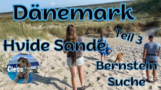 Dänemark Teil 3 Hvide Sande und Bernsteinsuche [upl. by Dickson]