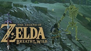 ZELDA BREATH OF THE WILD 🗡️• Ne ruhige Kugel schieben • LETS LIVE PLAY ZELDA BOTW 39 [upl. by Weisbart]