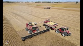 2020 Soybean Harvest with Dick Lavy Farms [upl. by Llednyl]