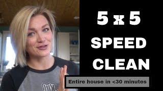 5 x 5 Speed Clean  Day 20  21 Days to a Clean Home [upl. by Koerner]