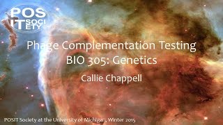 Complementation Testing in Phage [upl. by Clardy]