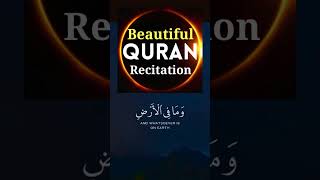 Beautiful Quran Recitation [upl. by Timmie]