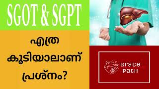 Are all SGOT  SGPT levels above normal range dangerous Malayalam [upl. by Yer]