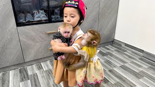 Diems ​​touching farewell to Monkey Kaka and Monkey Mit [upl. by Oznohpla]