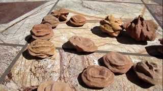 Oklahoma Rose Rock Finds from Rock Hounding for our Rock Collecting Hoarder Pile [upl. by Samul]