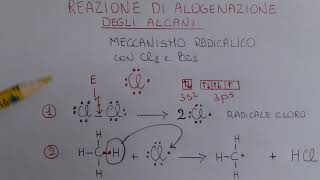 Alogenazione degli alcani [upl. by Loriner]