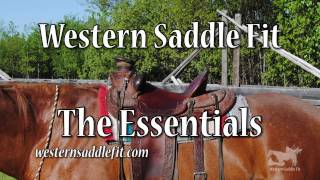 Western Saddle Fit  the Essentials [upl. by Emeline]