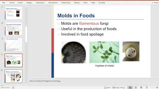 Unit 1 Yeasts and Molds [upl. by Adraynek]