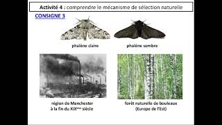 SVT 2nde  THÈME 1  33 les mécanismes de lévolution  sélection naturelle fin [upl. by Imerej]