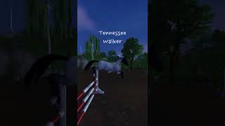 Who wins 🔥 SSO Jumping Horses 1 Tutorial is above  sso starstable [upl. by Aisatnaf910]