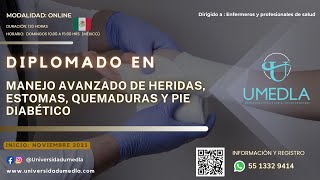 DIPLOMADO EN MANEJO AVANZADO DE HERIDAS Y ESTOMAS  quotTALLER LESIONES POR PRESIÓNquot  SESIÓN 2 [upl. by Leunad730]