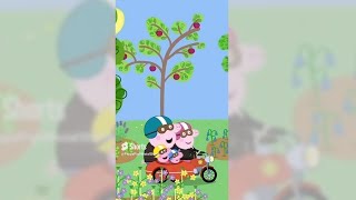 🐽 Peppa Pig 🐷 4 hour video  NonStop Cartoons  Streamed Mar 03 2024 [upl. by Clements]