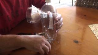 Easy and Cheap DIY Fruit Fly Trap [upl. by Heiner]