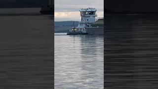 Big salmon jumping in front of tag boat [upl. by Verne]