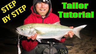 TailorBluefish Tactics Howto catch more fish [upl. by Aonehc]