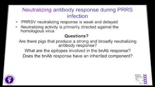 Dr Bob Rowland  Not All PRRSV Antibodies are Created Equal [upl. by Edelsten]