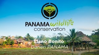 Llano Bonito Darien Panama [upl. by Beekman]