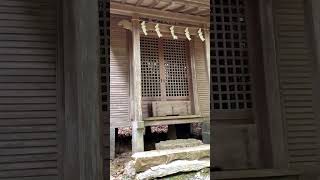 【天照皇大神神社】国土安泰、福徳、開運【shorts 】運気が上がる映像 開運 神様を感じる [upl. by Bigot]