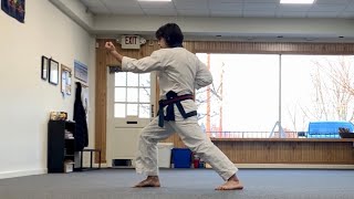 Tang Soo Do Hyung  Bassai Opening Movements [upl. by Niemad]