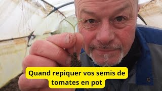 Quand repiquer vos semis de tomates [upl. by Garson]